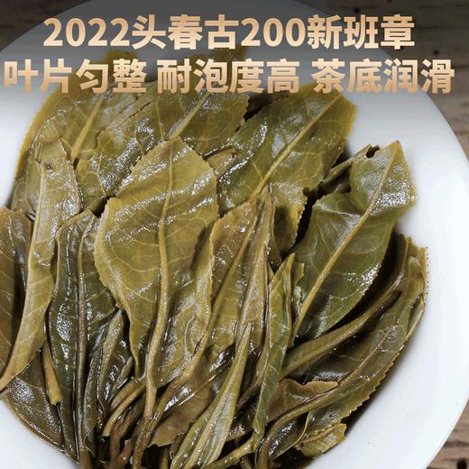 2022春茶 古200新班章云南古树茶普洱茶生茶饼357g*7饼 商品图3