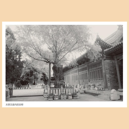 太原文庙研究（李艳莉 著） 商品图4