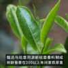 2022春茶 古200新班章云南古树茶普洱茶生茶饼357g*7饼 商品缩略图4