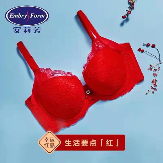 【列维斯蕾丝】安莉芳小胸厚杯聚拢文胸女士美背收副乳内衣EB1377 商品图2
