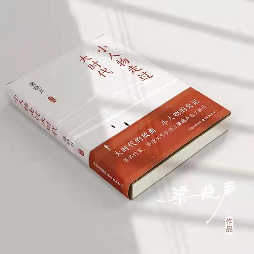 小人物走过大时代|人世间作者梁晓声2022散文新作。 商品图1