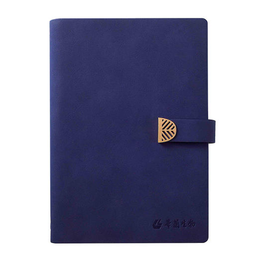 活页笔记本子软皮pu礼品广告镂空窗花搭扣古风a5笔记本可印logo 商品图2