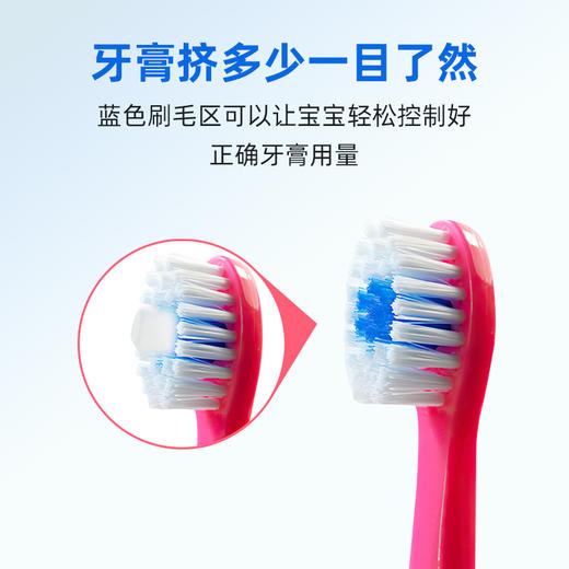 【一般贸易】德国进口Elmex宝宝牙膏艾美适儿童防龋齿含氟牙膏薄荷0-2-6-12岁 商品图7