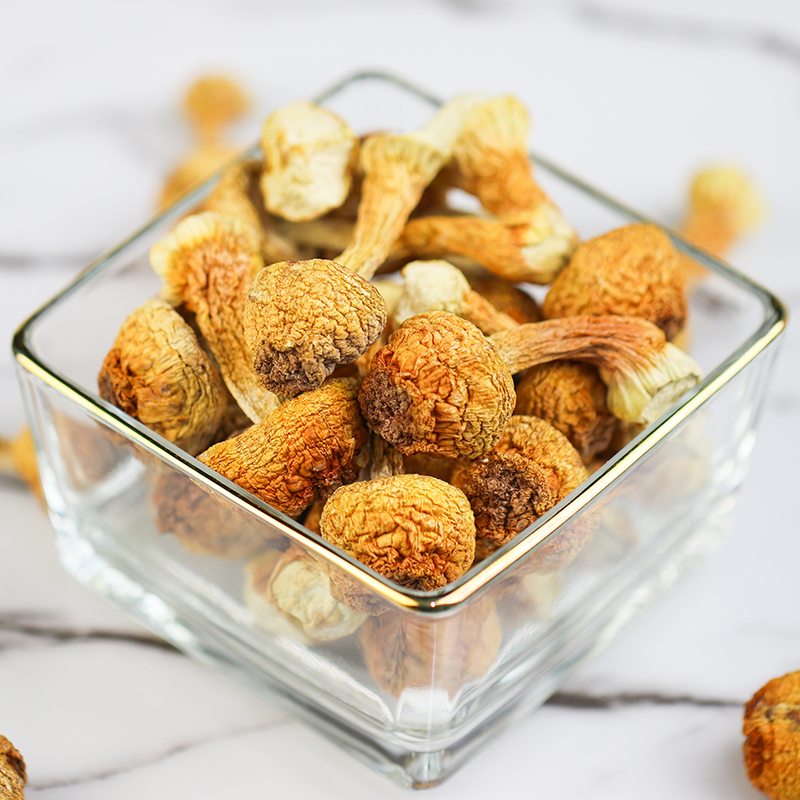 拾誉姬松茸干货 炖鸡 煲汤味道鲜美有营养250g/袋