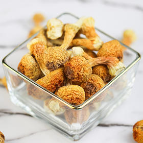 拾誉姬松茸干货 炖鸡 煲汤味道鲜美有营养250g/袋