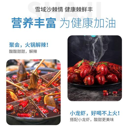 棘鲜丰沙棘果汁饮料328ML 商品图2