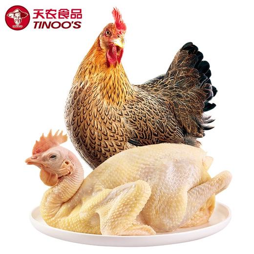 【兑换】天农巴拿马同款臻品168清远鸡1000g [顺丰包邮] 商品图8