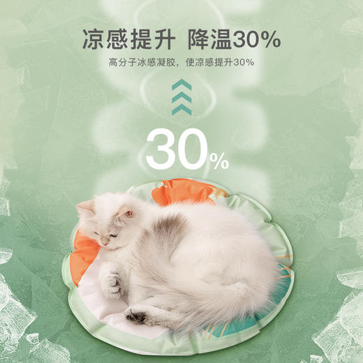 狗狗冰垫宠物冰垫窝猫咪冰垫猫狗通用宠物凉席凉窝夏降温可选色七夕情人节 商品图1