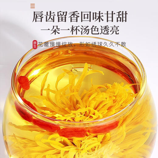 福东海  金丝皇菊5克/盒（10朵）菊花茶大朵安徽黄山原产 商品图4
