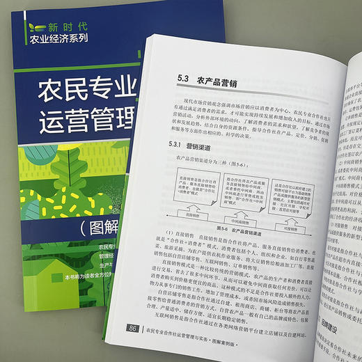 农民专业合作社运营管理与实务（图解案例版） 商品图8