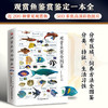 观赏鱼完全图鉴 李莉 等 编著 科普 商品缩略图0