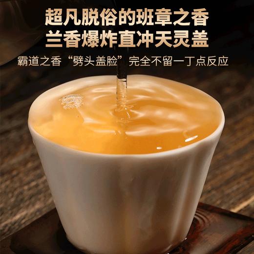 2022春茶 古200新班章云南古树茶普洱茶生茶饼357g*7饼 商品图2