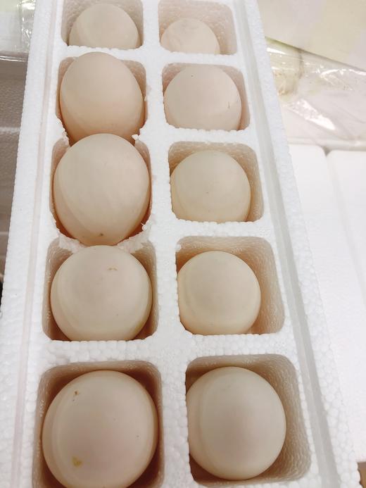 鲜鸭蛋一盒（补单） 商品图1