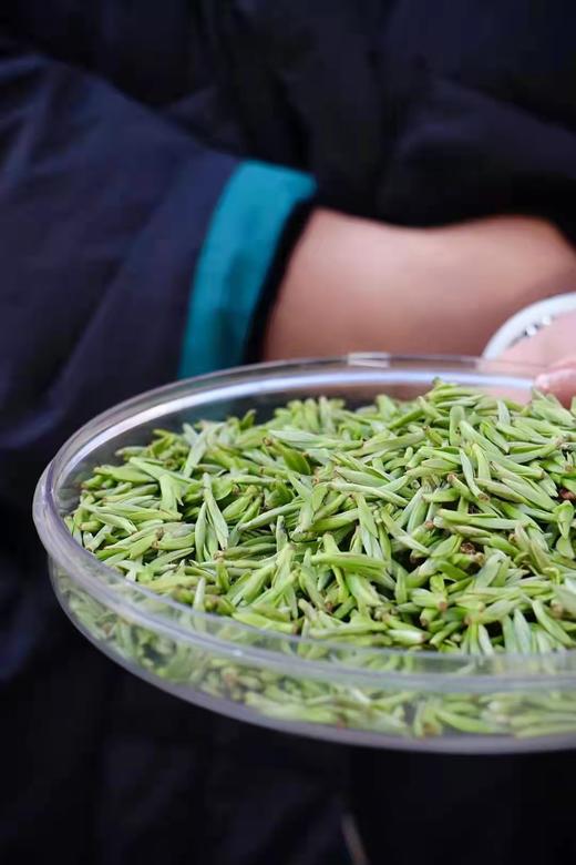 2022年  覆雪的茶  福鼎白茶 「芳雅」古法炭焙工艺  甜、活、暖、润  白毫银针 白牡丹 寿眉 商品图1