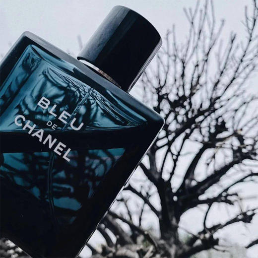 【中欧班列精选】1BF法国 CHANEL 香奈儿蔚蓝男士香水淡香系列 50ml /100ml 商品图2