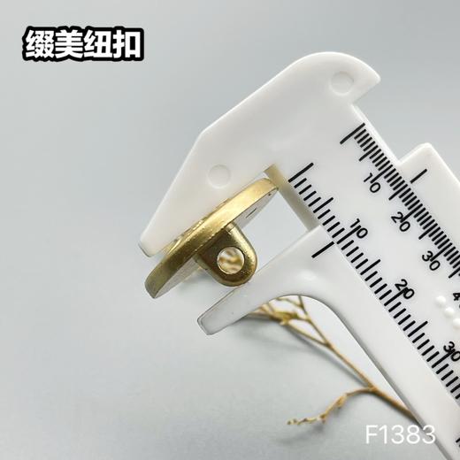 F1383(整包购买) 商品图4