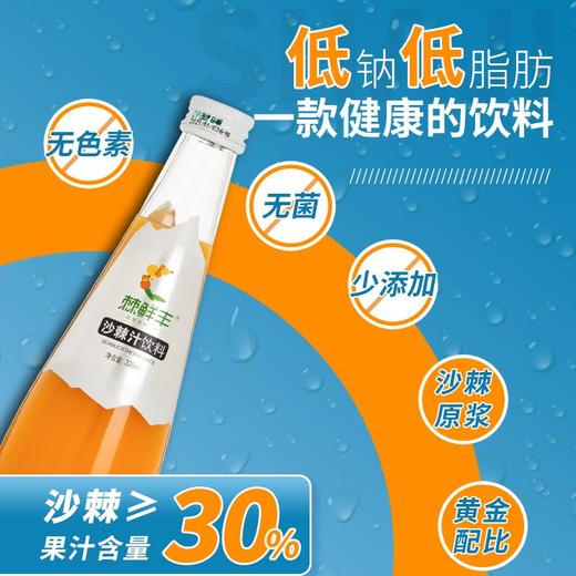 棘鲜丰沙棘果汁饮料328ML 商品图3