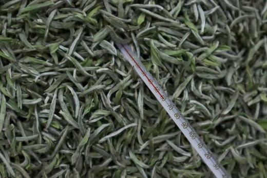2023年 福鼎白茶  | 「芳雅」系列 古法炭焙 白毫银针 白牡丹 寿眉 商品图3