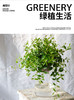 大玻璃瓶-钻石翡翠 商品缩略图0
