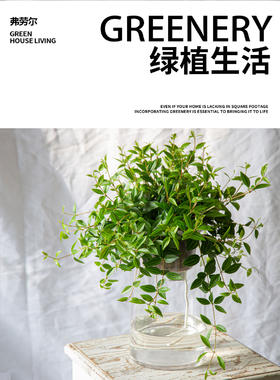 大玻璃瓶-钻石翡翠