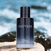 【中欧班列精选】 Dior迪奥旷野男士香水 60/100ML HJ 商品缩略图1