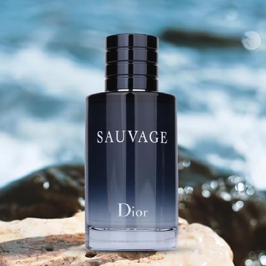 【中欧班列精选】 Dior迪奥旷野男士香水 60/100ML HJ 商品图1