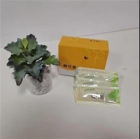 【永寿县】槐益坊槐花蜜180g*2盒