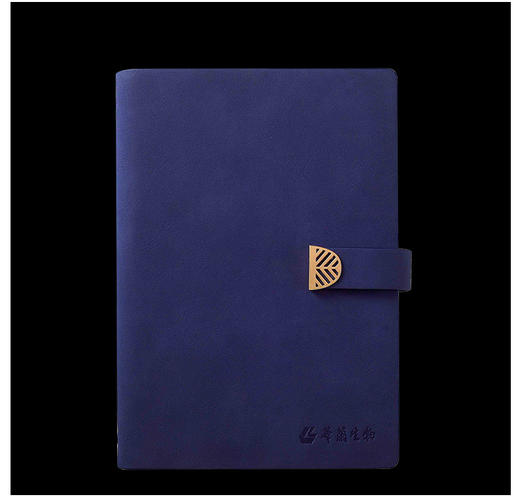 活页笔记本子软皮pu礼品广告镂空窗花搭扣古风a5笔记本可印logo 商品图7