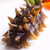 有机即食海参单头 商品缩略图0