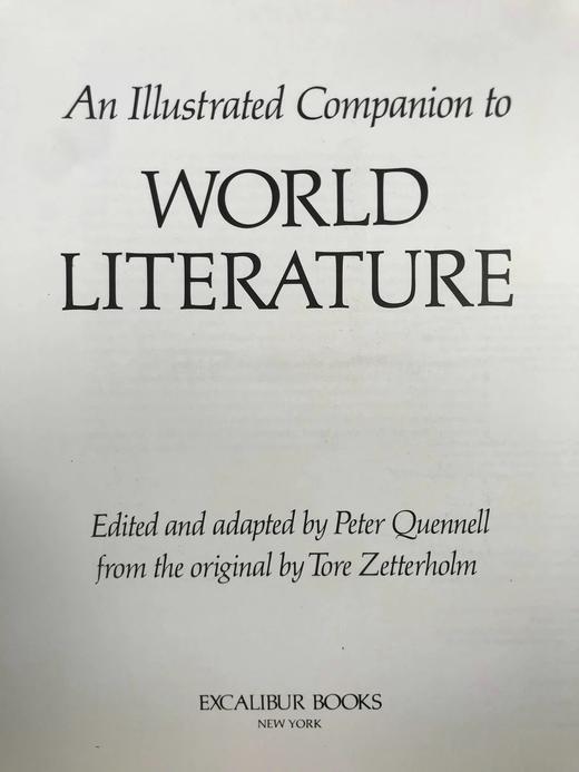 世界文学插图指南 数百幅插图 精装16开 商品图2