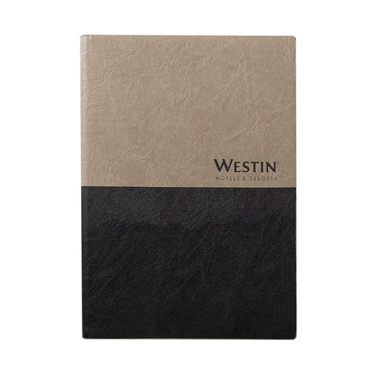 拼色日记本商务笔记本子定制logo 商务办公创意会议记事本定做 商品图3