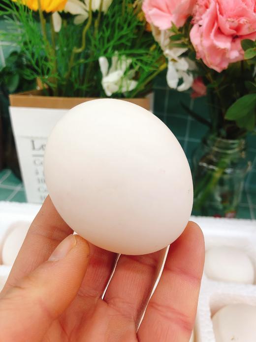 鲜鸭蛋一盒（补单） 商品图0