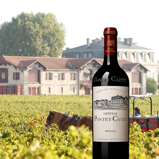 法国庞特卡奈古堡干红葡萄酒2017/2018 商品图1