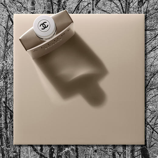 1LPY Chanel香奈儿白色魅力精粹男士浓香水EDP 50ML  商品图3