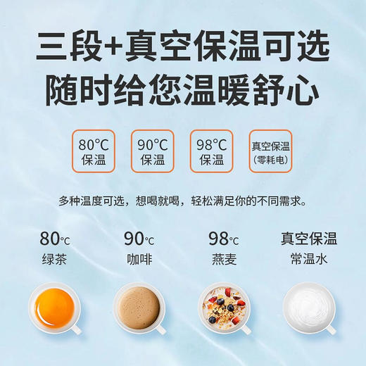 【6F】虎牌（Tiger）电热水瓶电水壶热水壶真空保温日本原装进口PVW-B30C 3L 商品图3