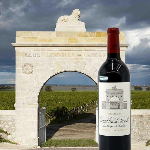 法国雄狮酒庄干红葡萄酒2017/2018/2019/2020 商品图2