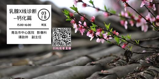 3月18日 | 谭政帅 主任科普乳腺X线诊断 - - 钙化篇 商品图0