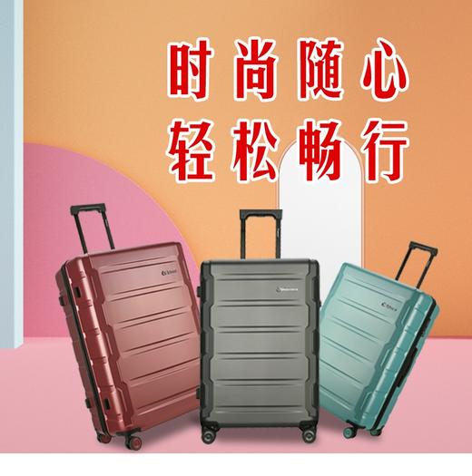 外交官TC-2608 商品图0