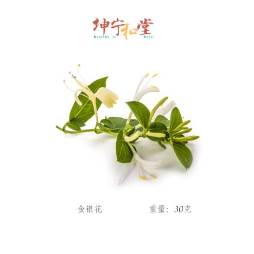 金银花花茶泡水留香花茶30克/罐 商品图5