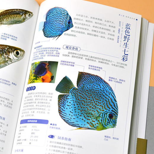 观赏鱼完全图鉴 李莉 等 编著 科普 商品图3