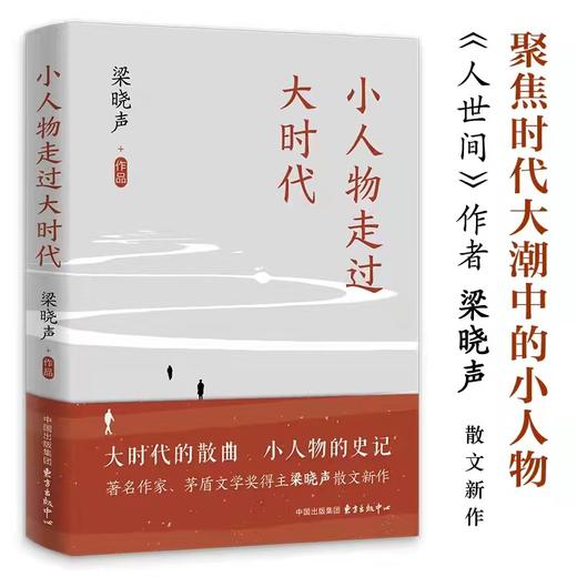 小人物走过大时代|人世间作者梁晓声2022散文新作。 商品图0