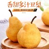 丑梨 商品缩略图0