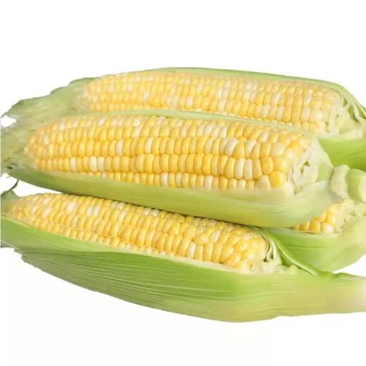 甜玉米 商品图0