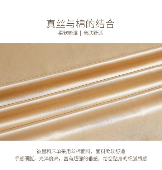 ROYALCOVER/罗卡芙欧式经典奢华全真丝印花面料四件套 塞波加庄园 商品图6