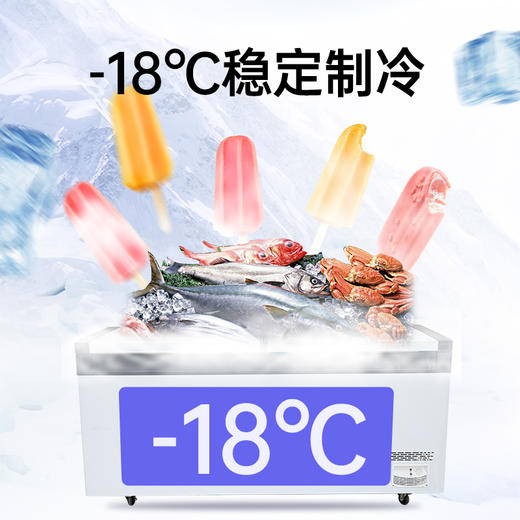 雪亮冰柜1180升商用冷藏冷冻柜大容量卧式节能省电雪糕展示柜冰柜家用 商品图2