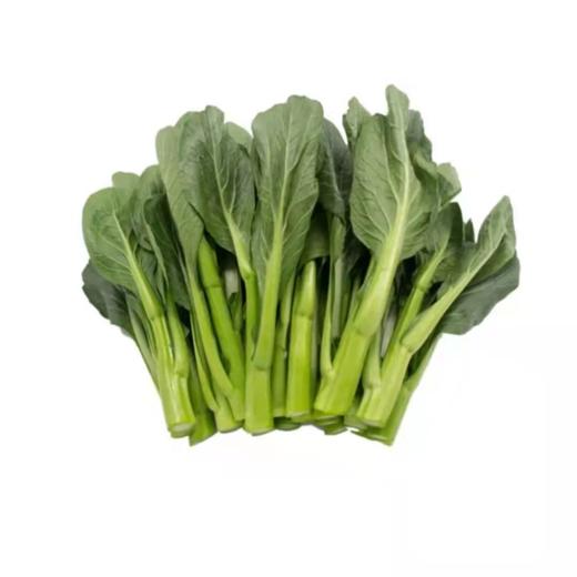 南菜心 商品图0