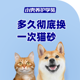 多久彻底换一次猫砂