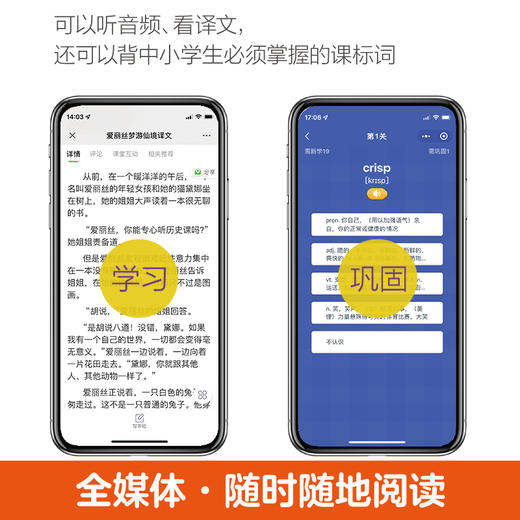 青橙英语分级读物 爱丽丝梦游仙境 适合六七年级 Level 6 商品图3