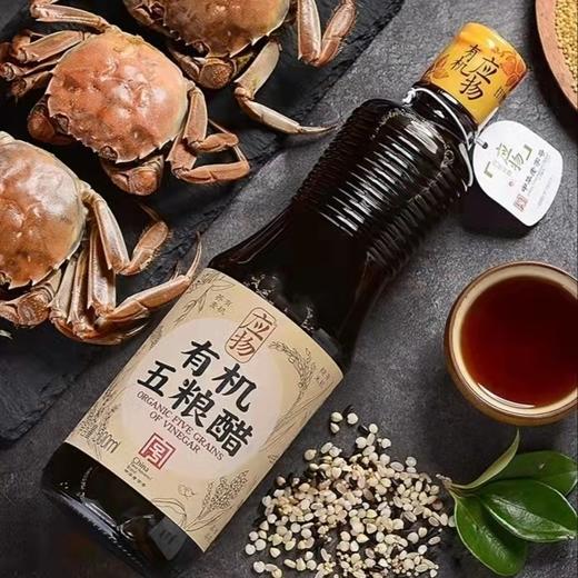 有机五粮醋 | 中华老字号 5种有机纯粮发酵 色泽纯正 口感醇香 | 公平贸易 * Organic five grain vinegar 商品图2