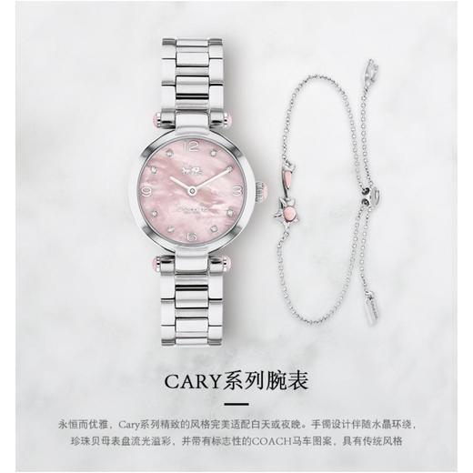 1楼COACH/蔻驰CARY系列表盘钢带石英手表女表 商品图1